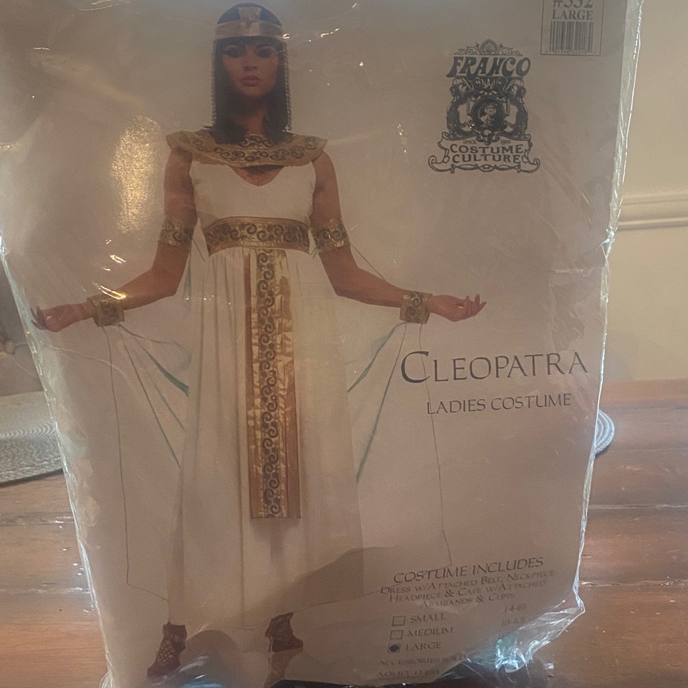 Cleopatra Ladies Costume size Large Halloween
